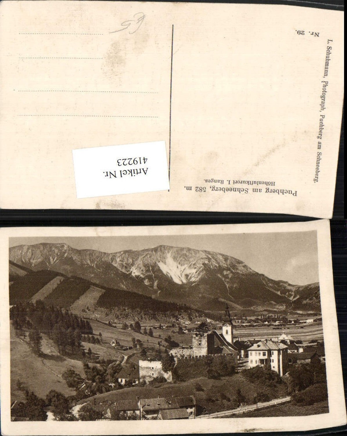 419223,Puchberg am Schneeberg Teilansicht Bergkulisse