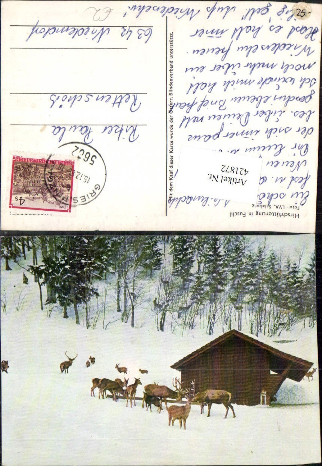 421872, Fuschl am See Deer feeding Wild winter picture