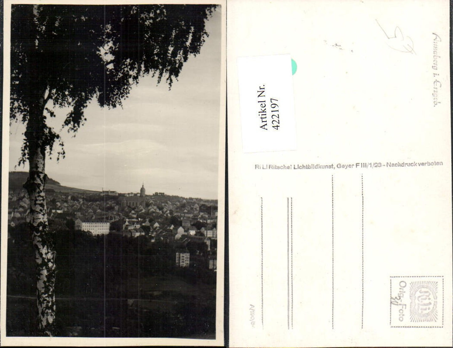 422197,Annaberg im Erzgebirge Totale Birke Baum