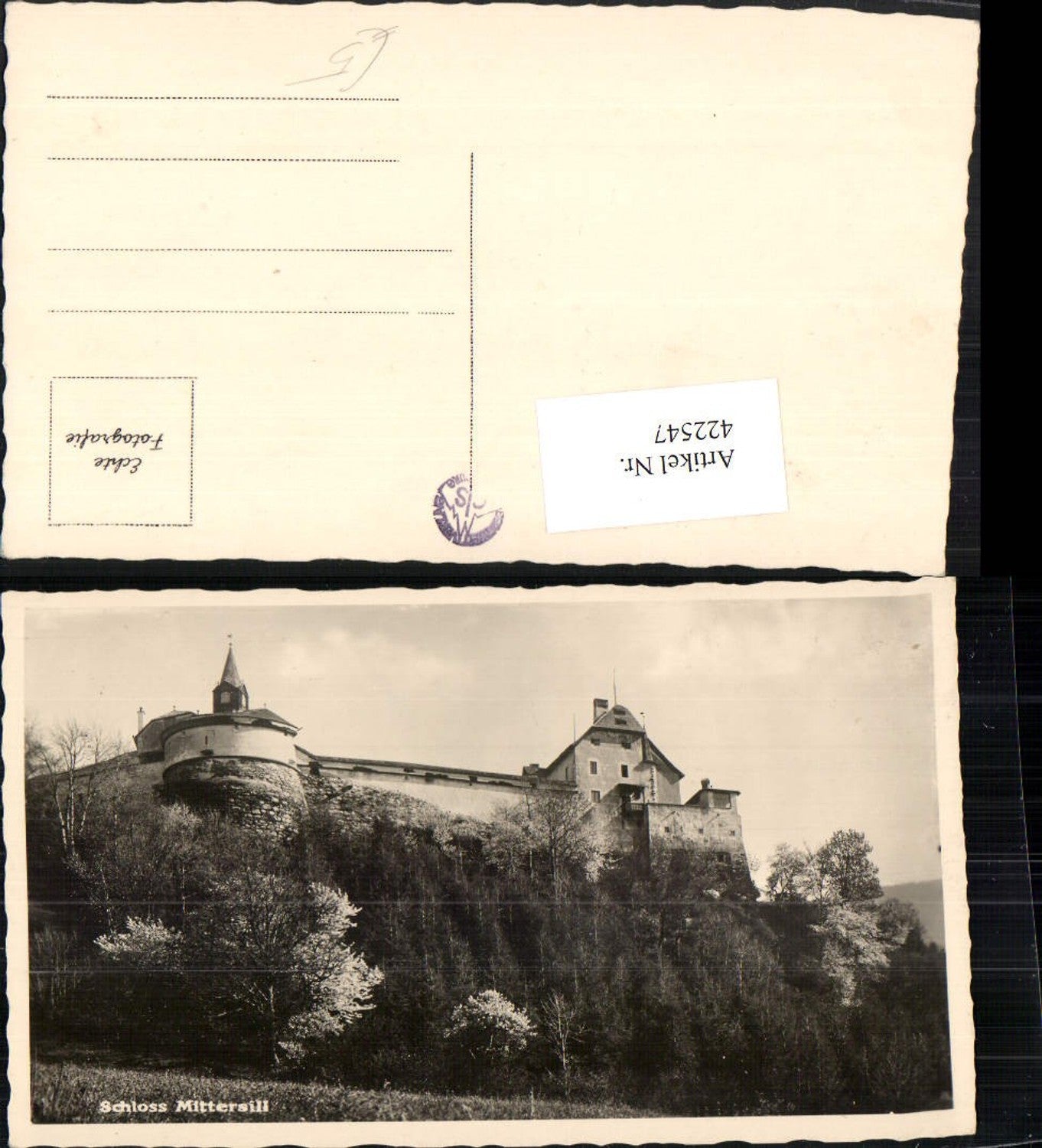 422547,Schloss Mittersill
