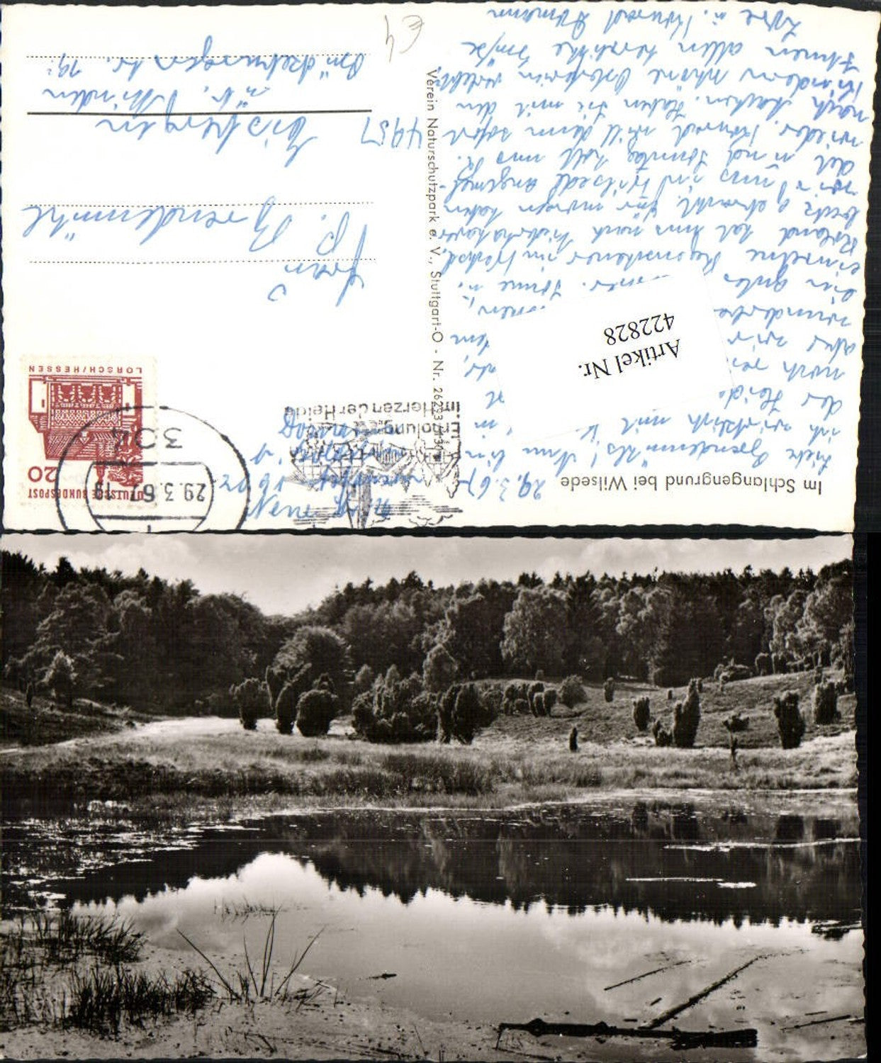 422828,Im Schlangengrund bei Wilsede Landschaft Teich