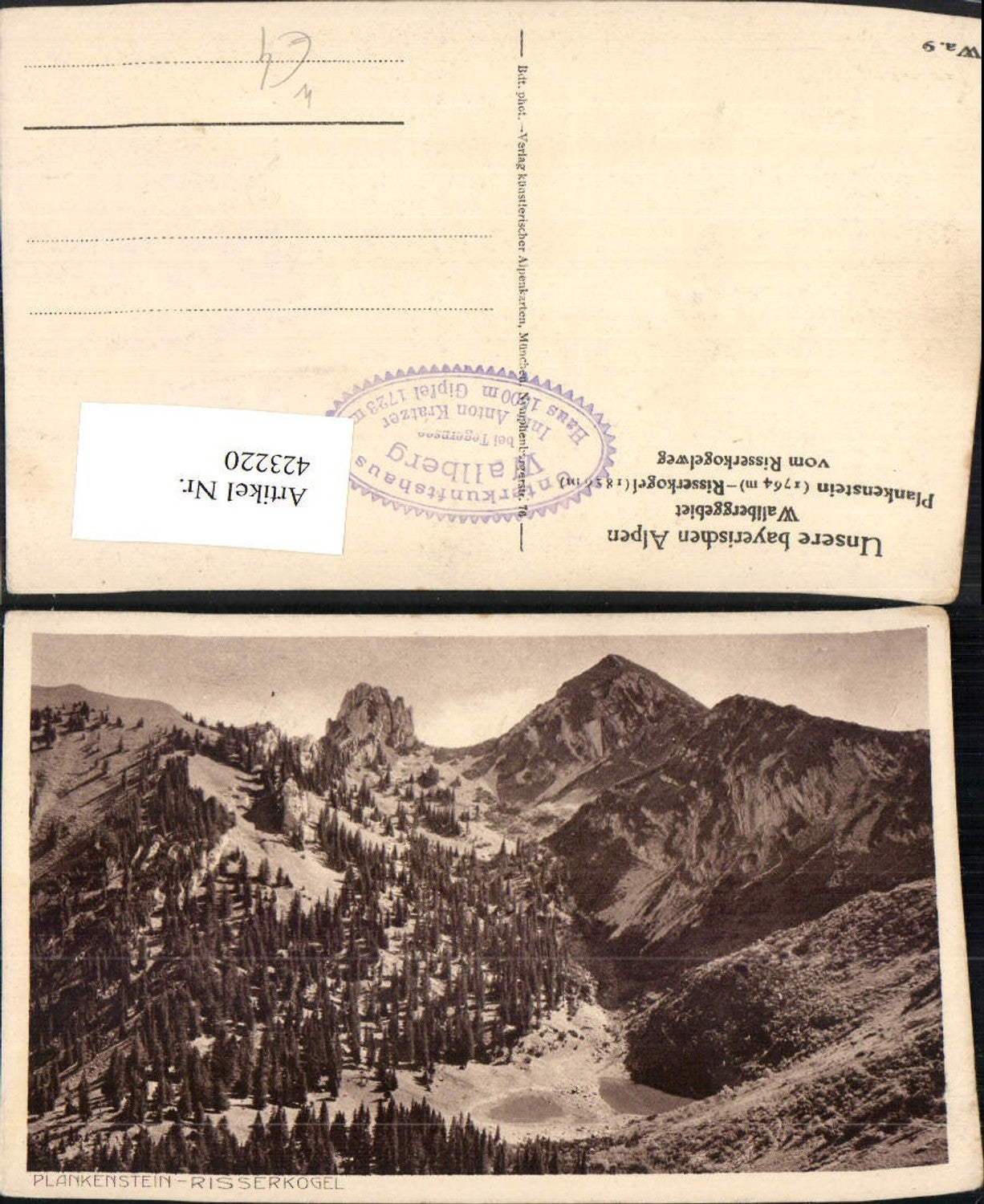 423220,Wallberggebiet Plankenstein Risserkogel vom Risserkogelweg b. Rottach-Egern Bergkulisse
