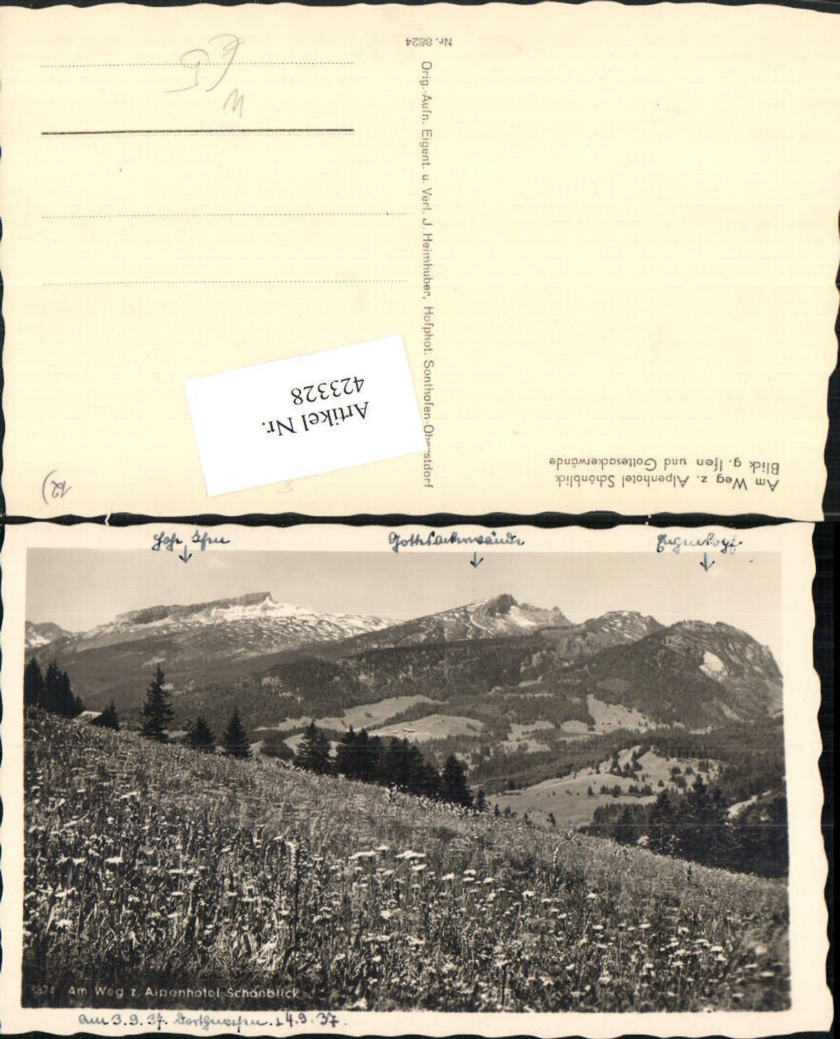 423328,Am Weg zum Alpenhotel Schönblick b. Oberstdorf geg. Ifen Bergkulisse