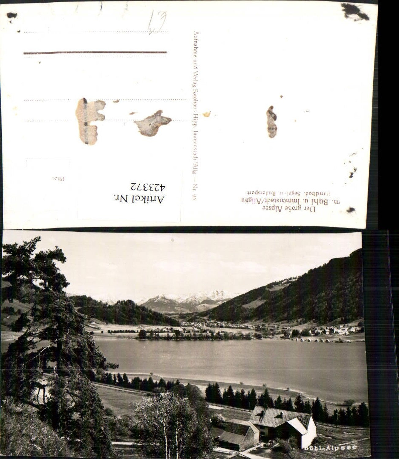 423372,Bühl am Alpsee See b. Immenstadt Totale Bergkulisse