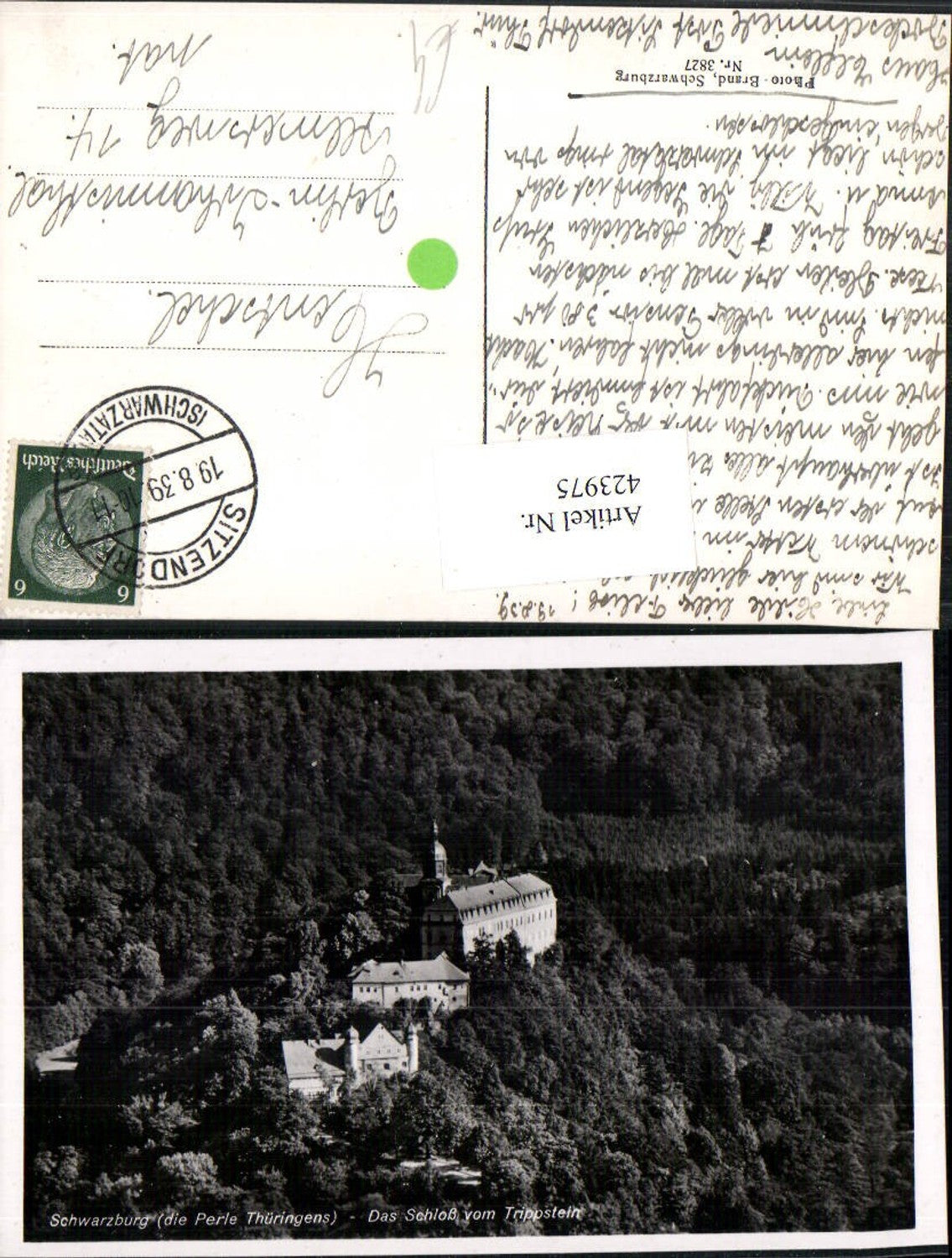 423975,Schwarzburg Schloss vom Trippstein