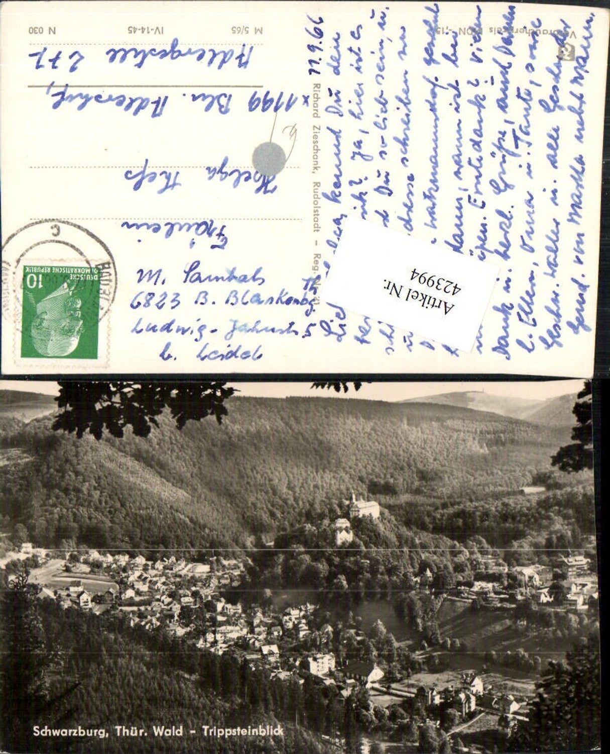 423994,Schwarzburg Totale vom Trippstein