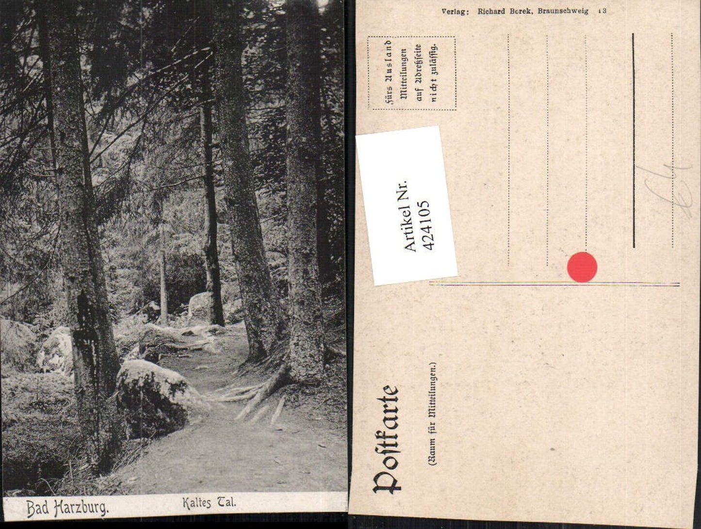 424105,Bad Harzburg Kaltes Tal Wald Partie