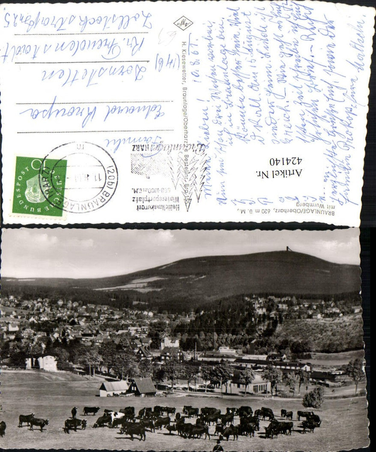 424140,Braunlage im Oberharz Totale m. Wurmberg Rinder