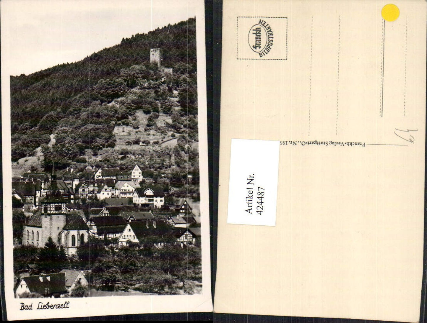424487,Bad Liebenzell Teilansicht m. Burg Ruine