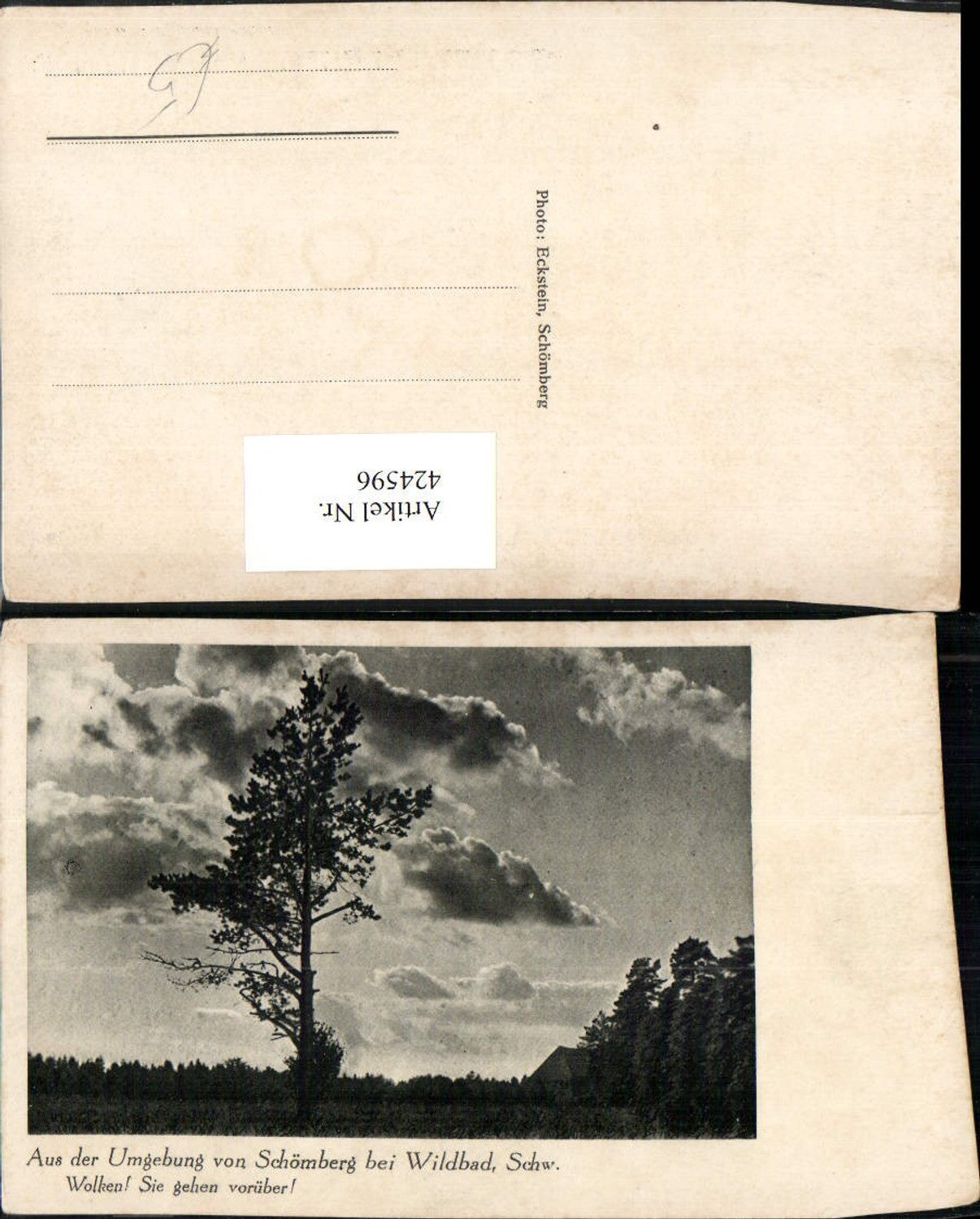 424596,Umgebung von Schömberg b. Wildbad im Schwarzwald Baum Wolken