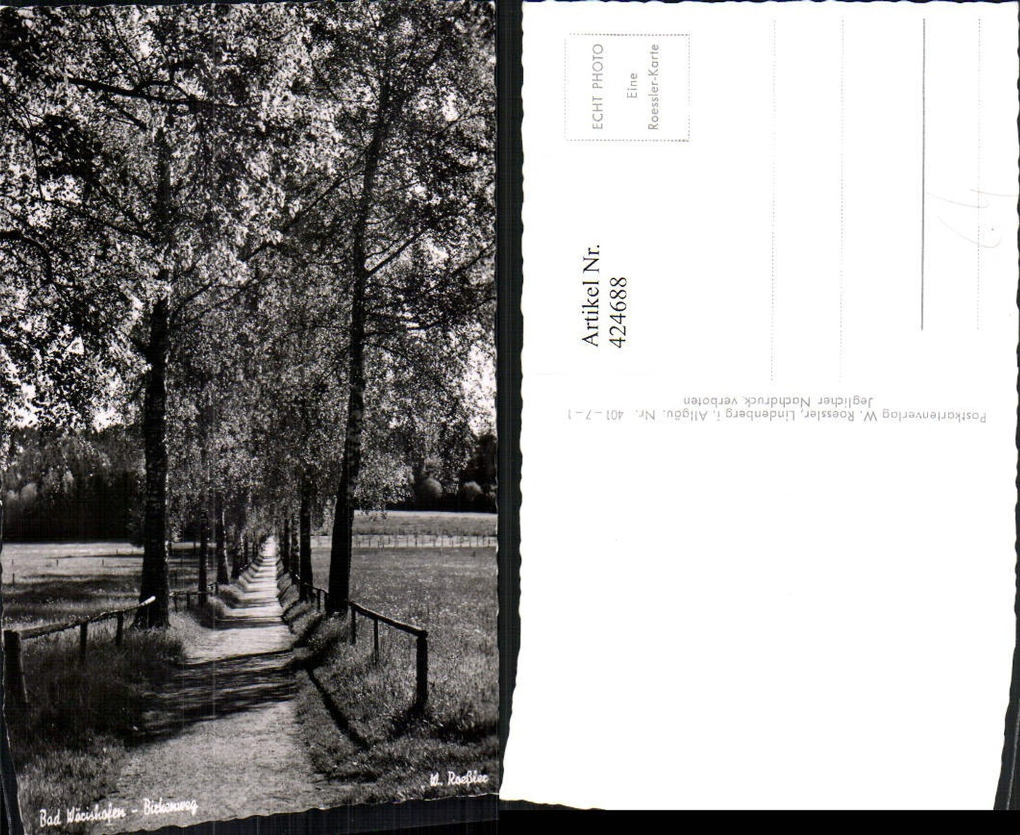 424688,Bad Wörishofen Birkenweg Wegpartie
