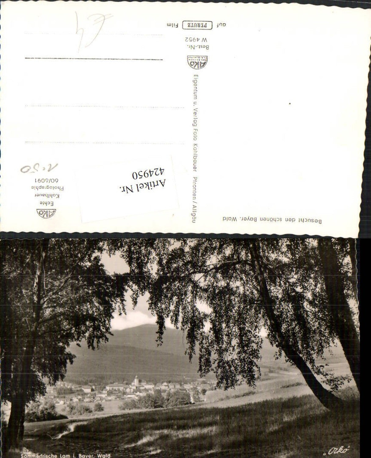 424950,Lam in the Bavarian Forest, partial view