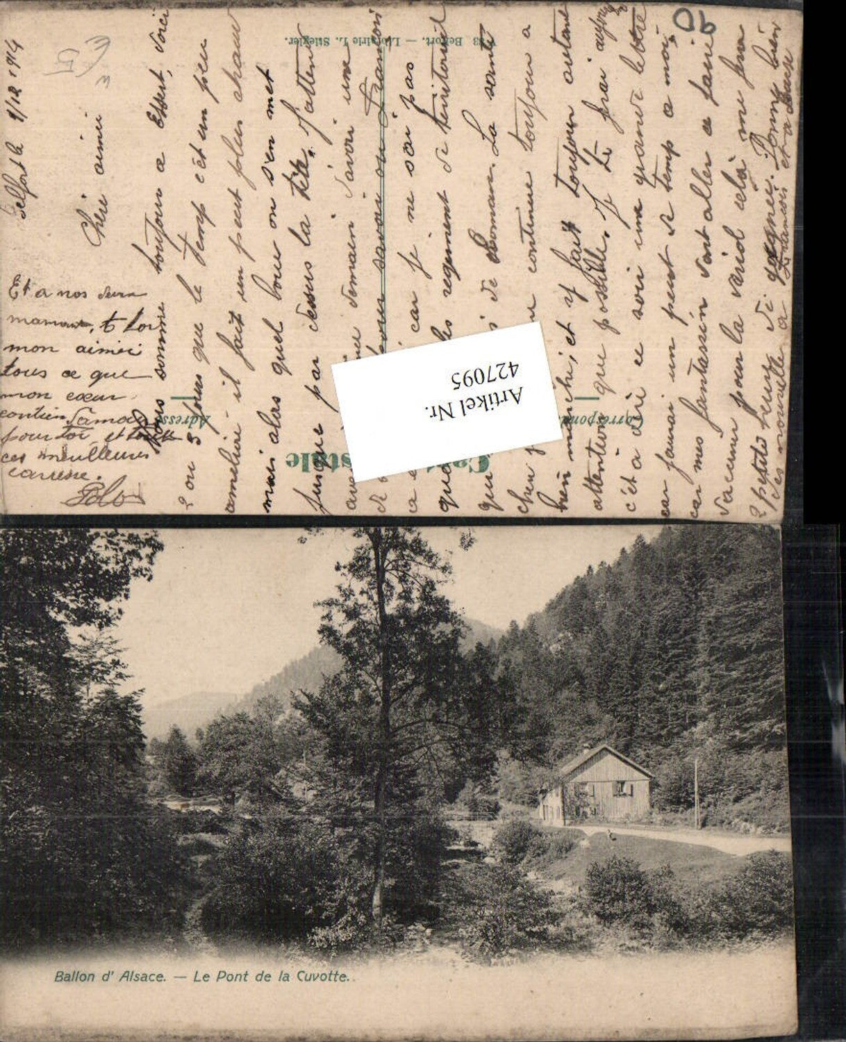 427095,Franche-Comte Territoire-de-Belfort Ballon d'Alsace Le Pont de la Cuvotte Wald