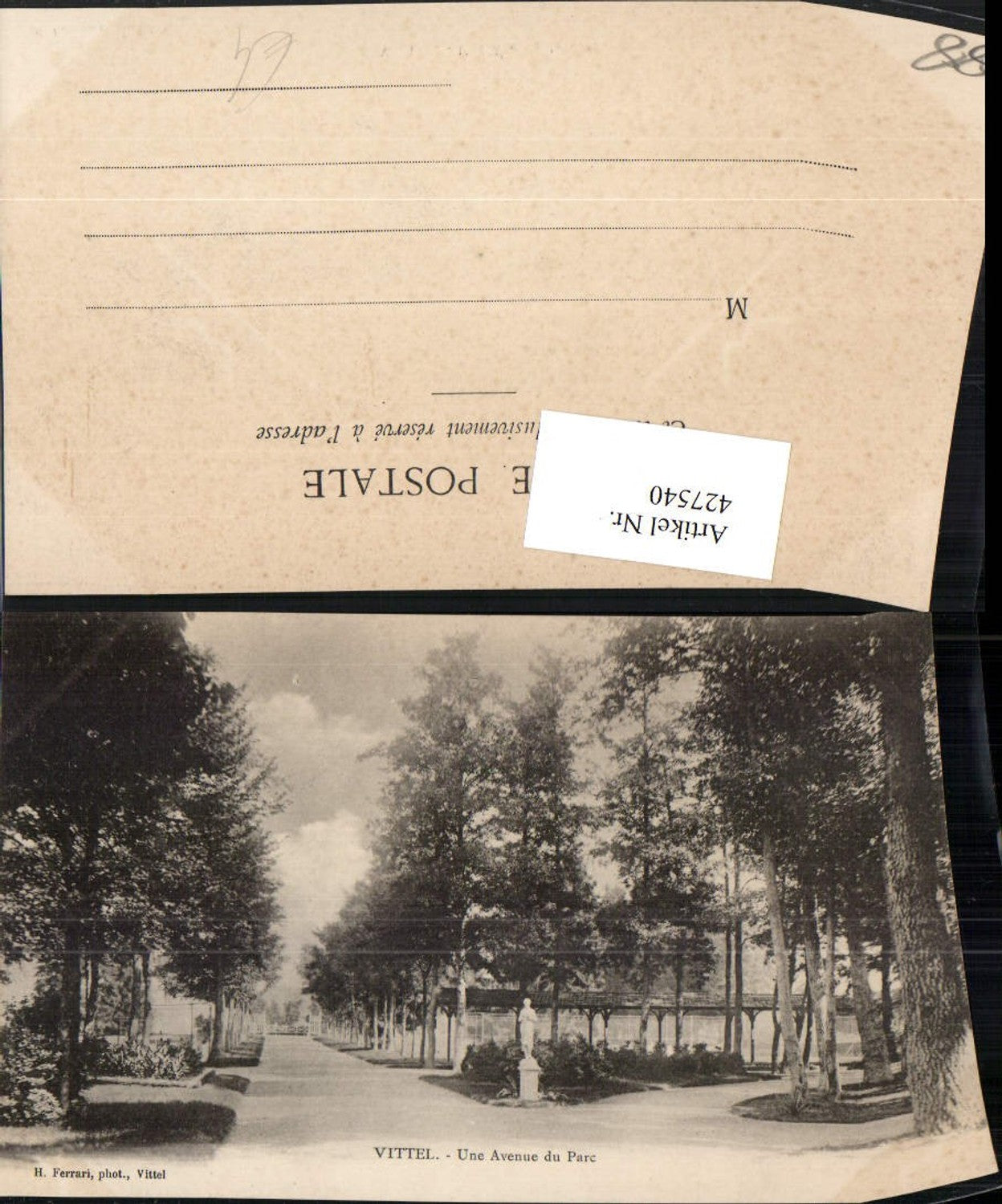 427540,Lothringen Vosges Vittel Une Avenue du Parc Park