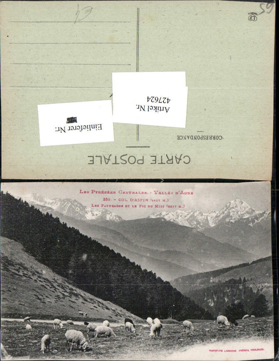 427624,Midi-Pyrenees Hautes-Pyrenees Vallee Aure Col d'Aspin Paturages et le Pic du Midi Schafe