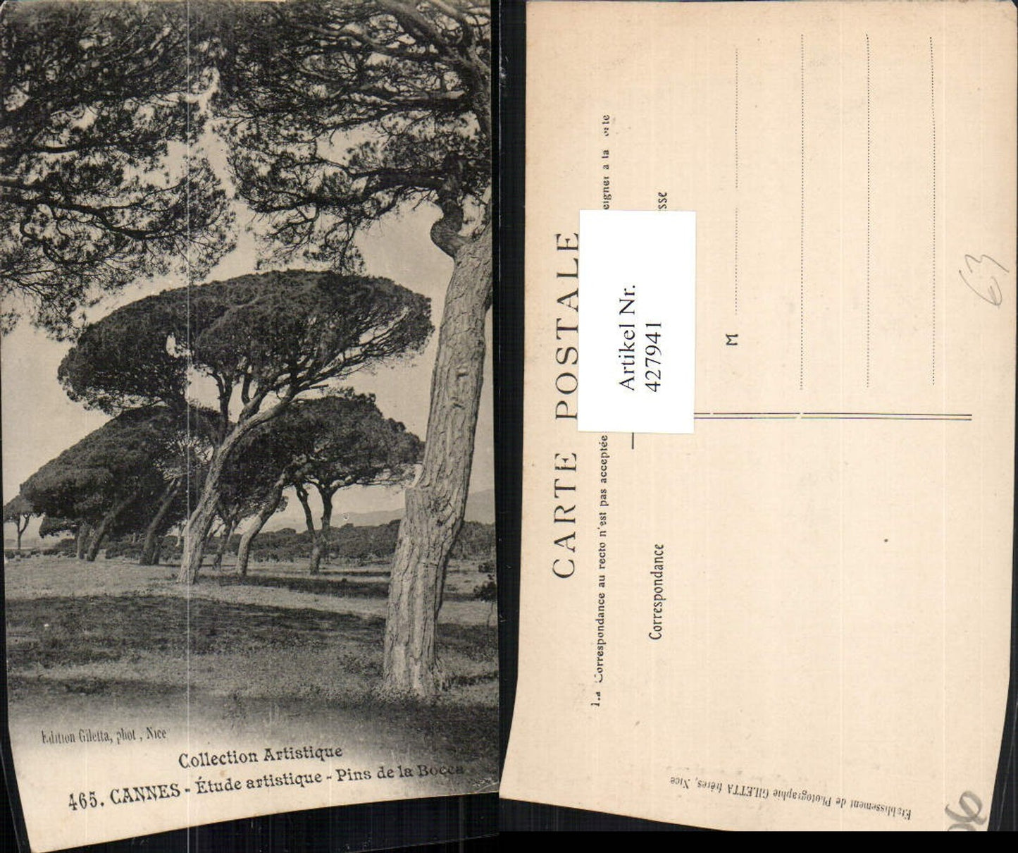 427941,Provence-Alpes-Cote-Azur Alpes-Maritimes Cannes Pins de la Bocca trees