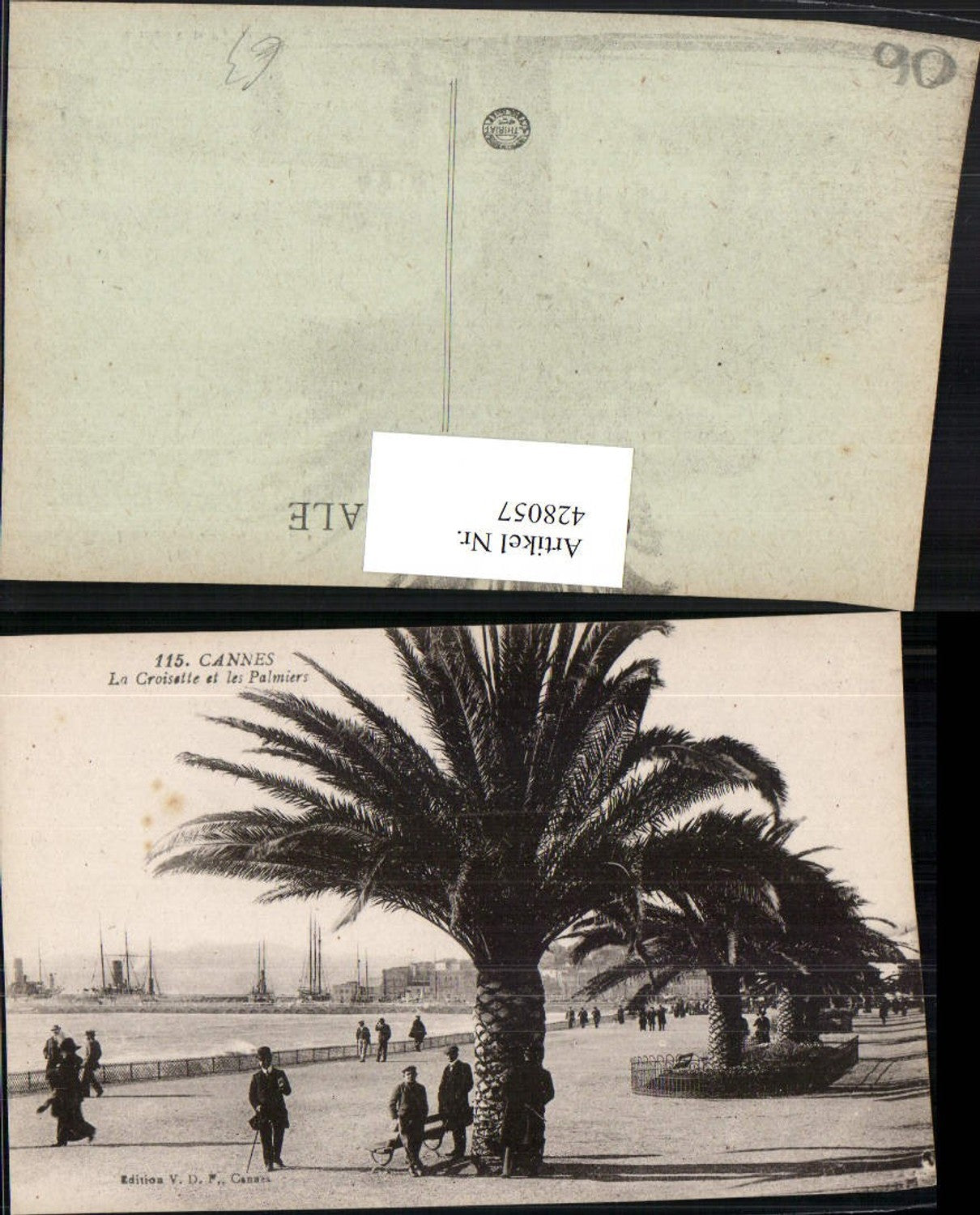 428057,Provence-Alpes-Cote-Azur Alpes-Maritimes Cannes La Croisette et les Palmiers Palmen