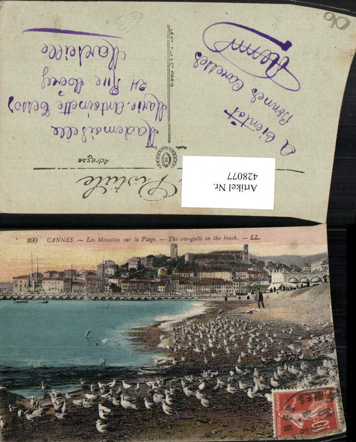 428077,Provence-Alpes-Cote-Azur Alpes-Maritimes Cannes Mouettes sur la Plage Möwen