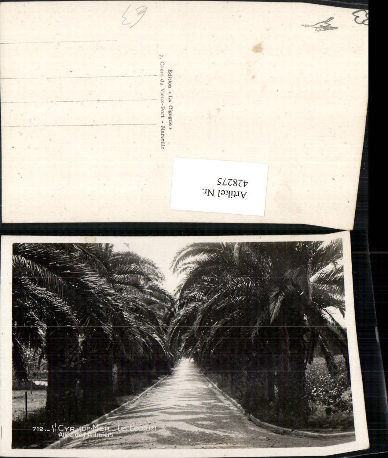 428275,Provence-Alpes-Cote-Azur Var St. Cyr-sur-Mer Les Lecques Allee des Palmiers Palmen