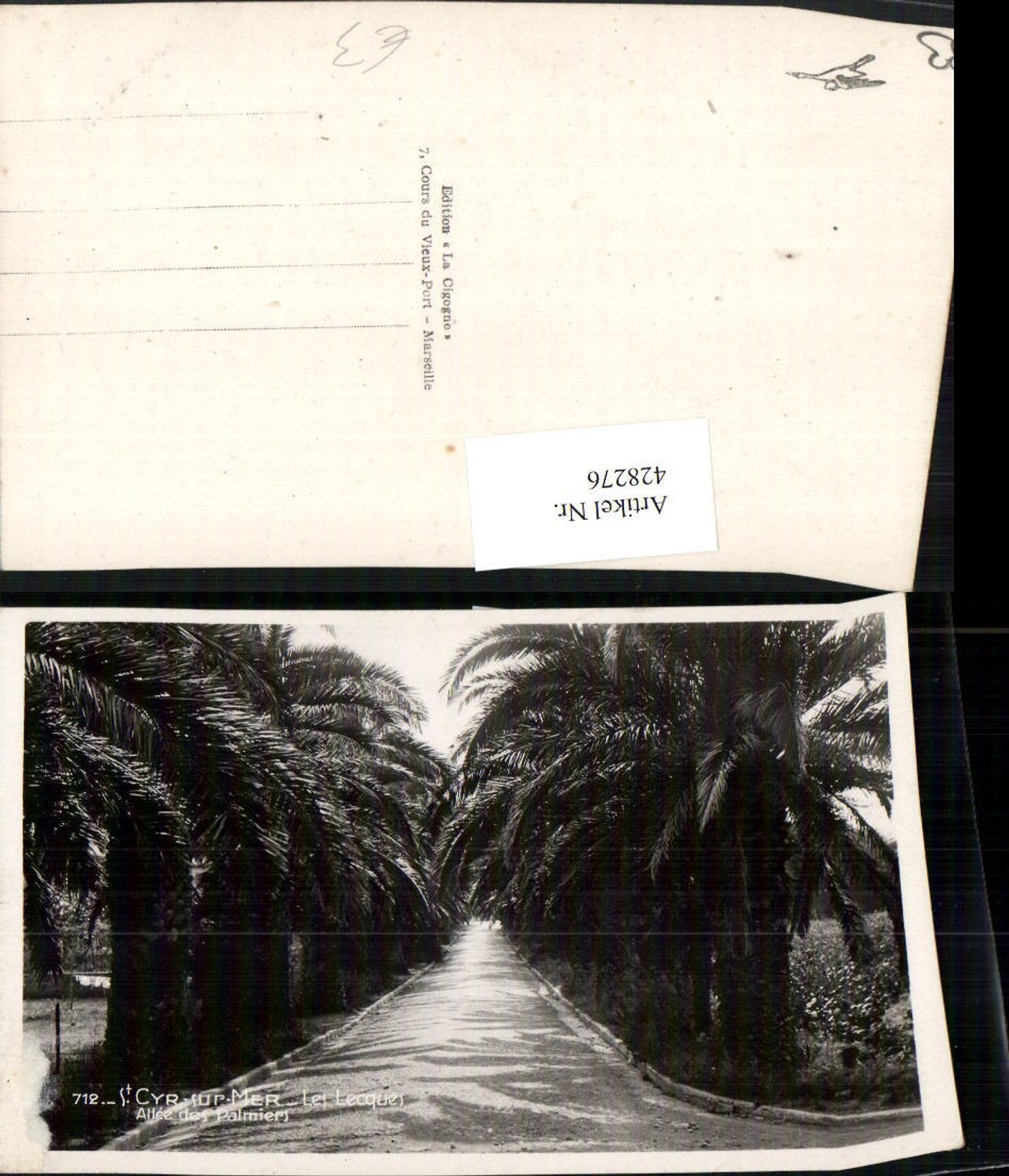 428276,Provence-Alpes-Cote-Azur Var St. Cyr-sur-Mer Les Lecques Allee des Palmiers Palmen