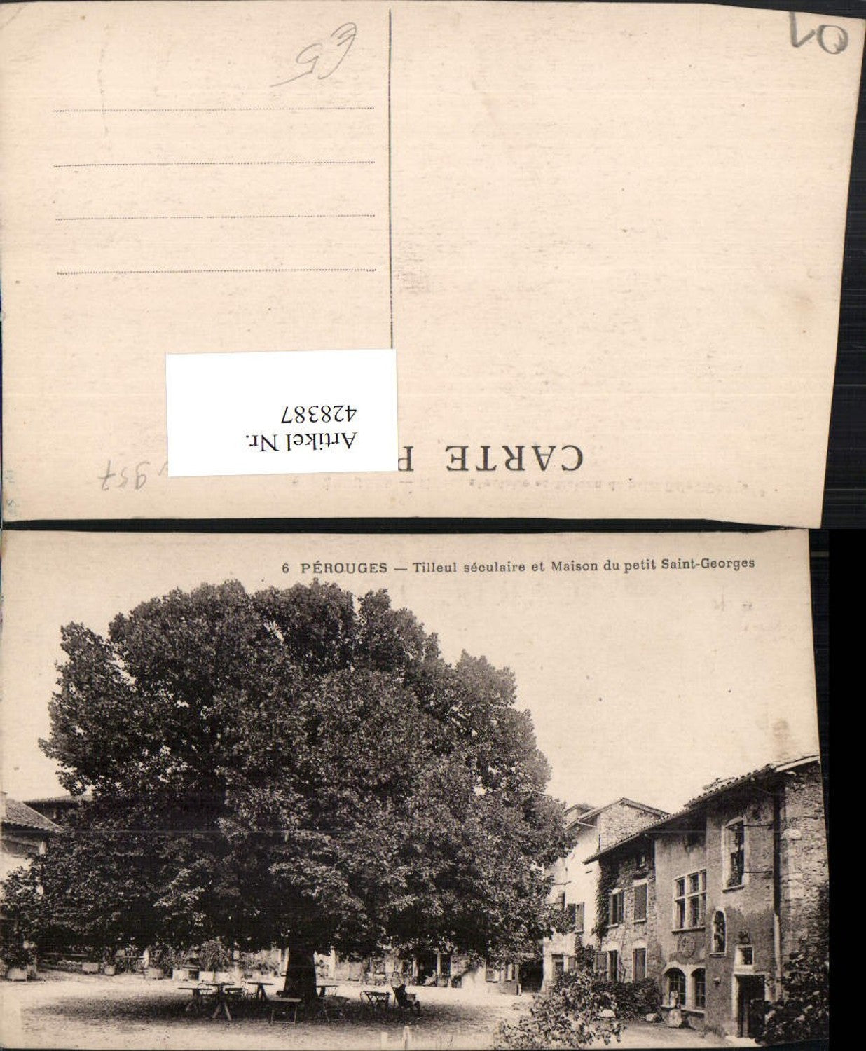 428387,Rhone-Alpes Ain Perouges Tilleul seculaire et Maison du petit Saint-Geroges Baum