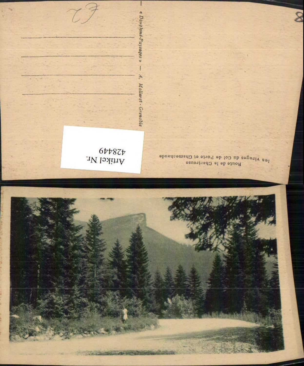 428449,Rhone-Alpes Isere Route de la Chartreuse Col de Porte Straße