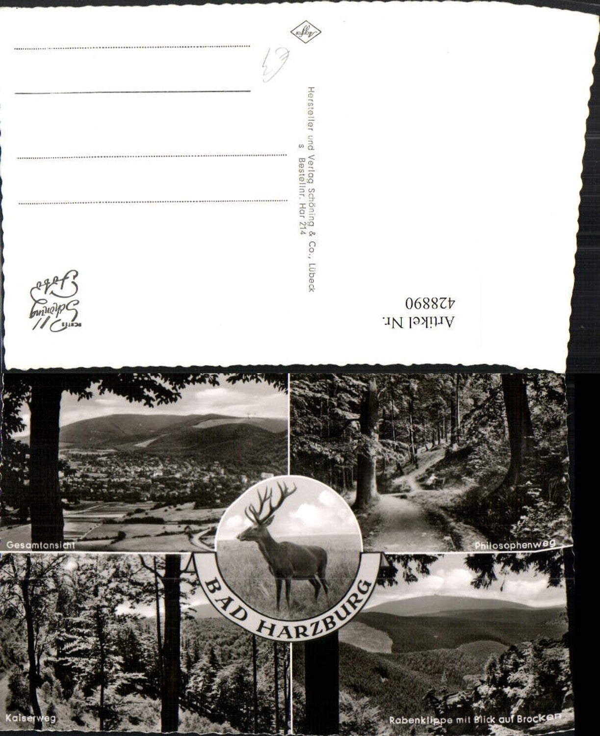 428890,Bad Harzburg Totale Kaiserweg Hirsch Mehrbildkarte