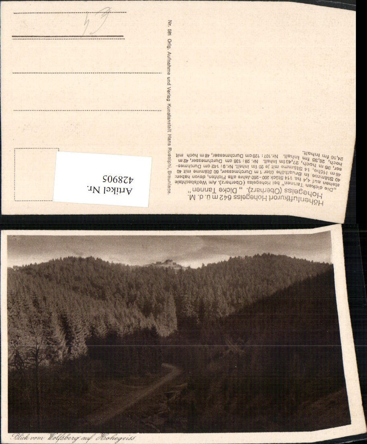 428905,Hohegeiss Hohegeiß im Oberharz Wald vom Wolfsberg