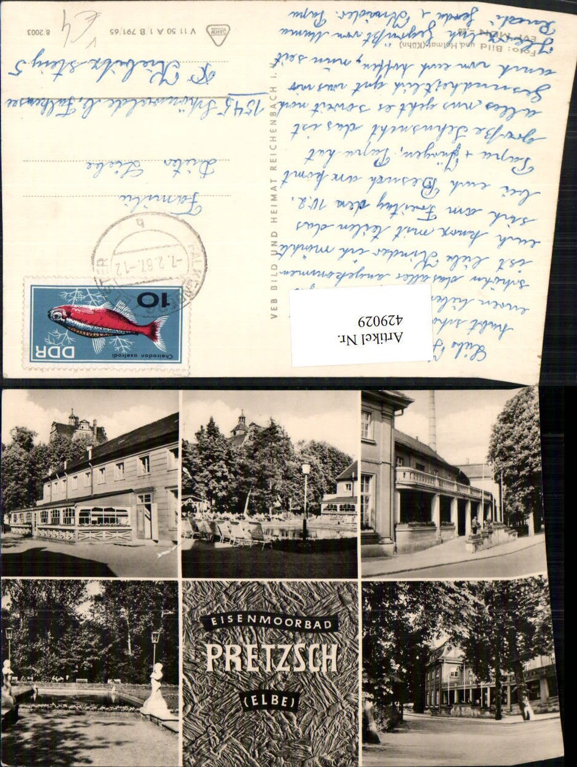 429029,Bad Pretzsch an d. Elbe Moorbad Mehrbildkarte pub VEB