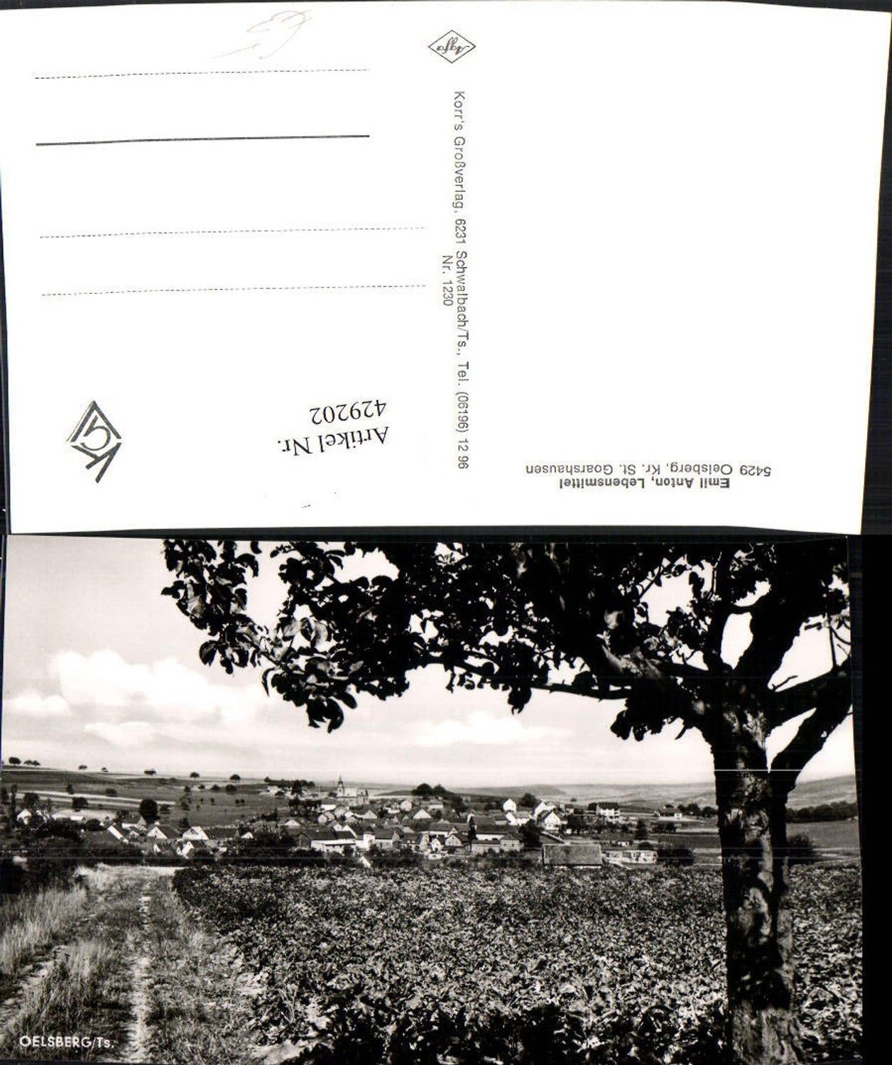 429202,Oelsberg im Taunus Totale Wegpartie