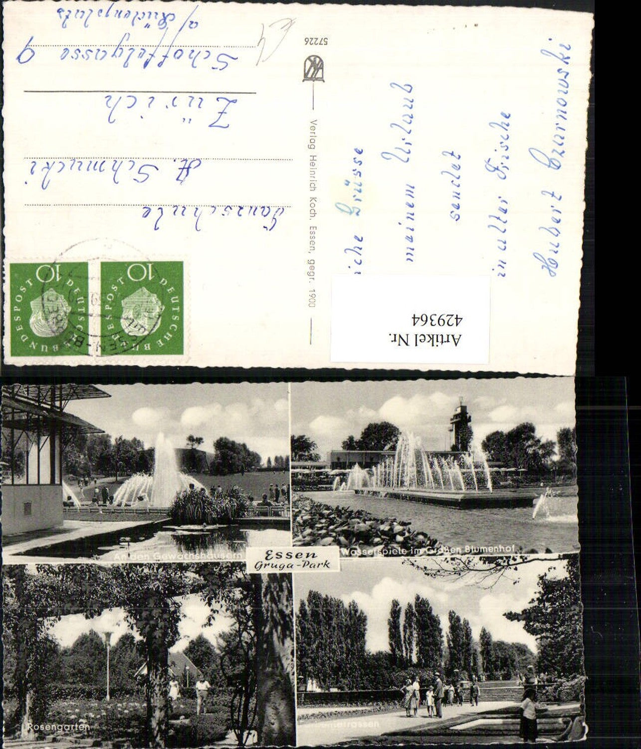 429364,Essen Gruga-Park Wasserspiele Rosengarten Mehrbildkarte