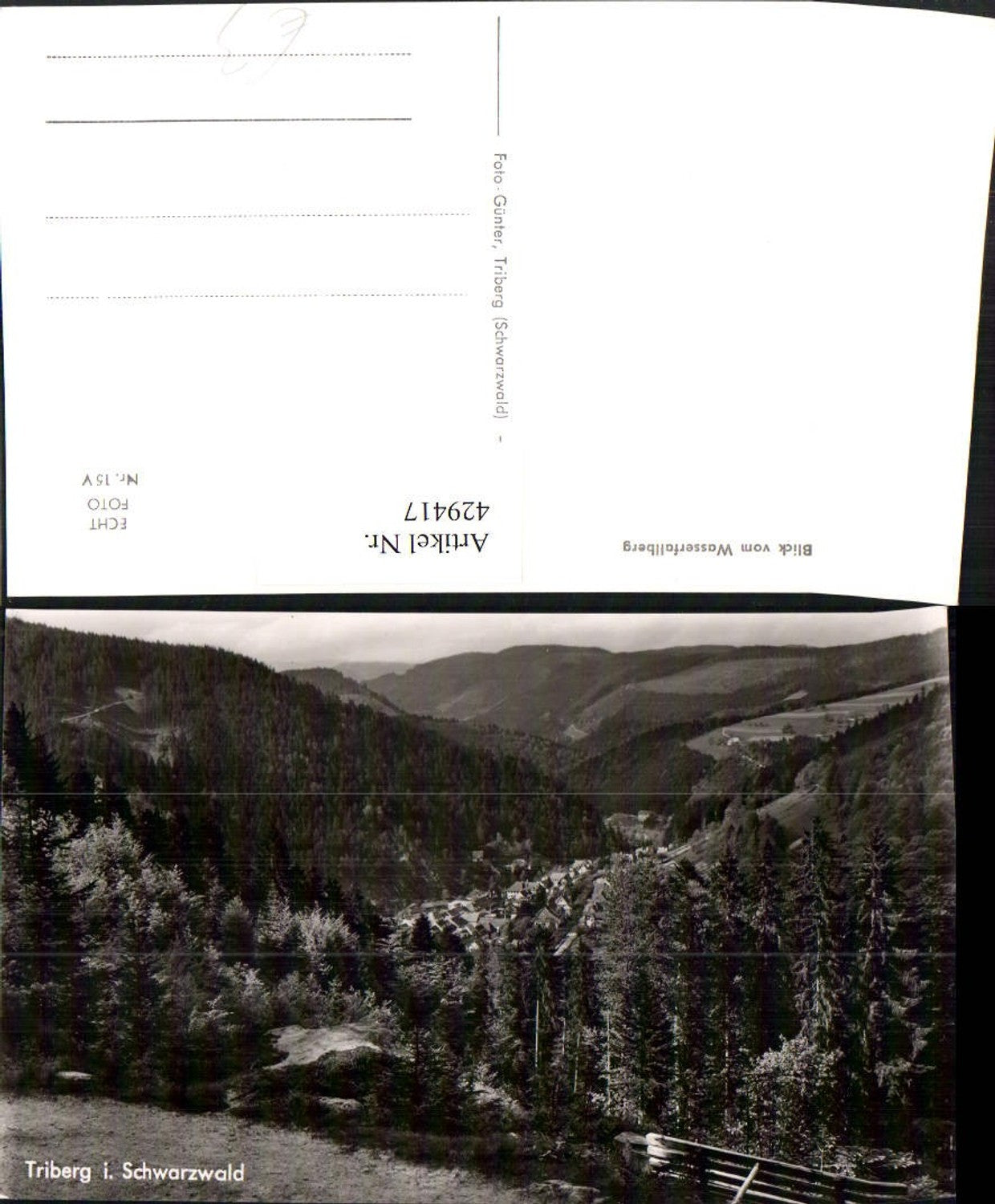 429417, Triberg in the Black Forest, view from the waterfall mountain
