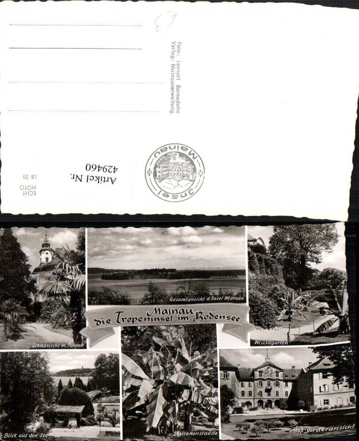 429460,Mainau Insel im Bodensee Totale Schloss Palmen Bananen Mehrbildkarte