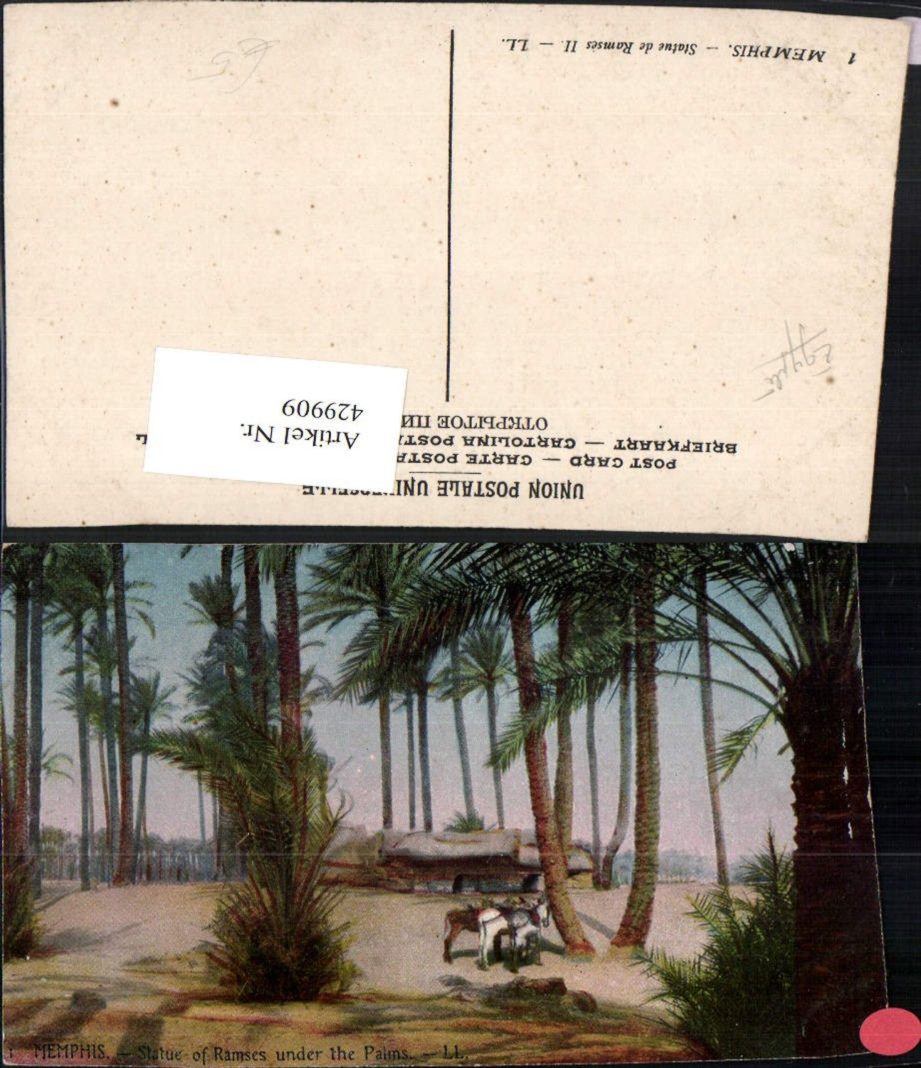 429909,Egypt Memphis Statue of Ramses under the Palms Palmen