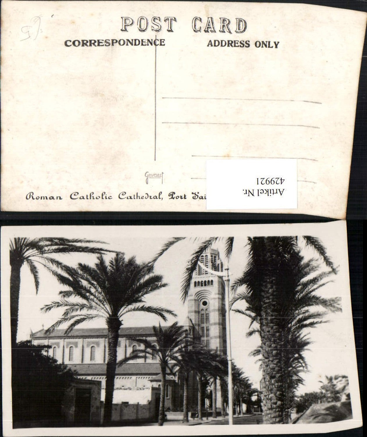 429921,Egypt Port Said Roman Catholic Cathedral Kirche Palmen