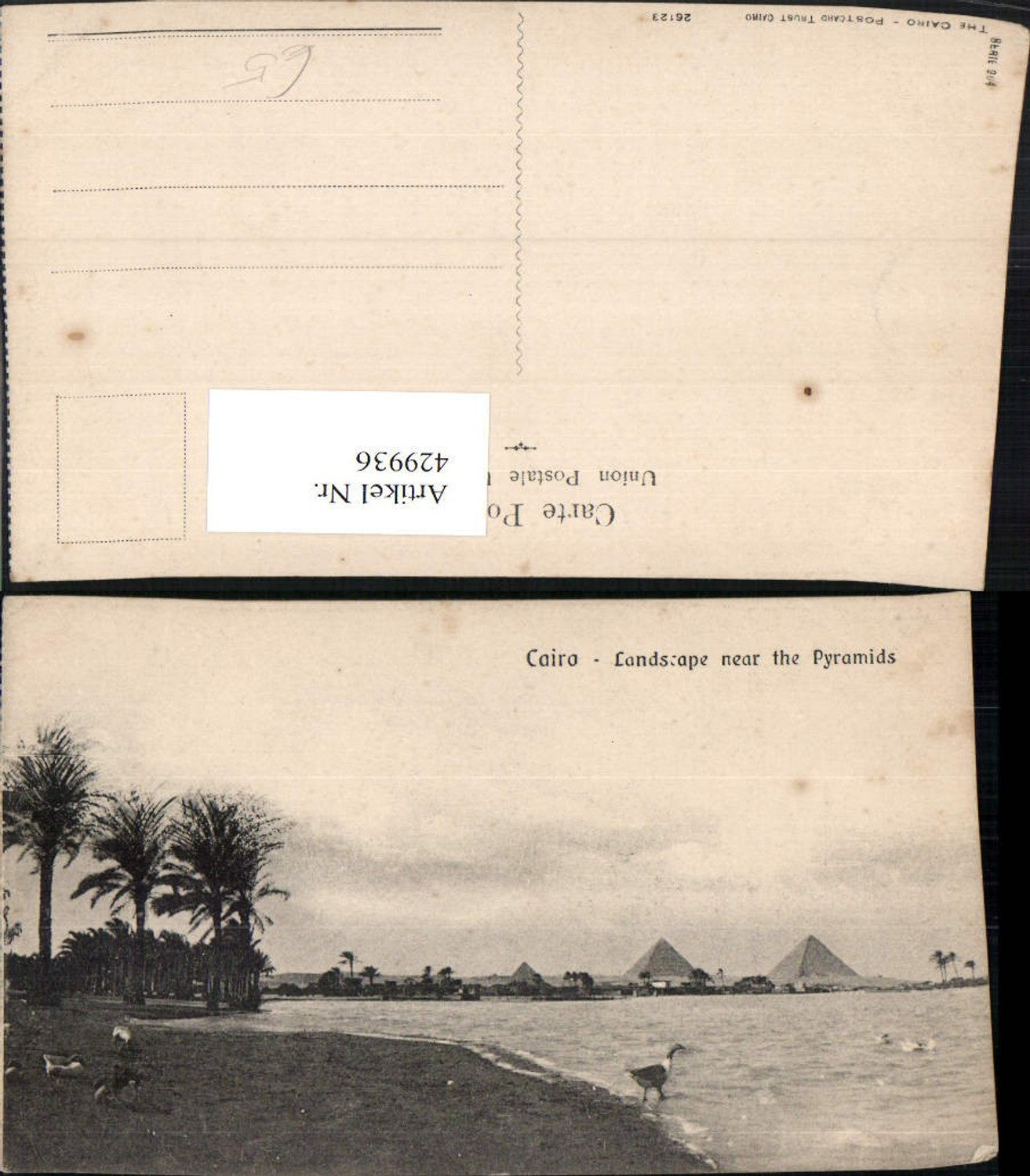 429936,Egypt Cairo Kairo Landscape near the Pyramids Pyramiden