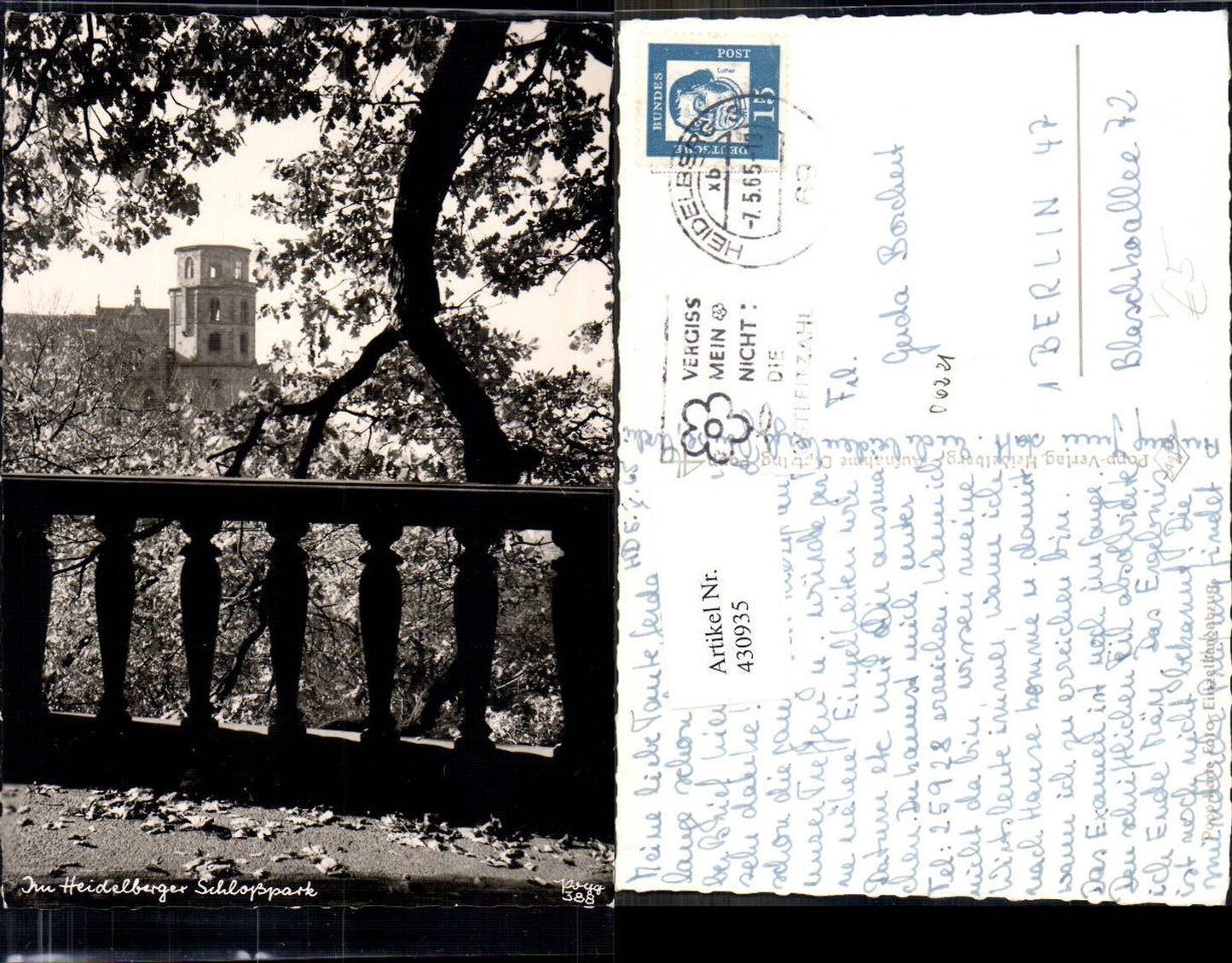 430935,Foto Ak Schloss Heidelberg Schlosspark Park Baum pub Popp Verlag 388
