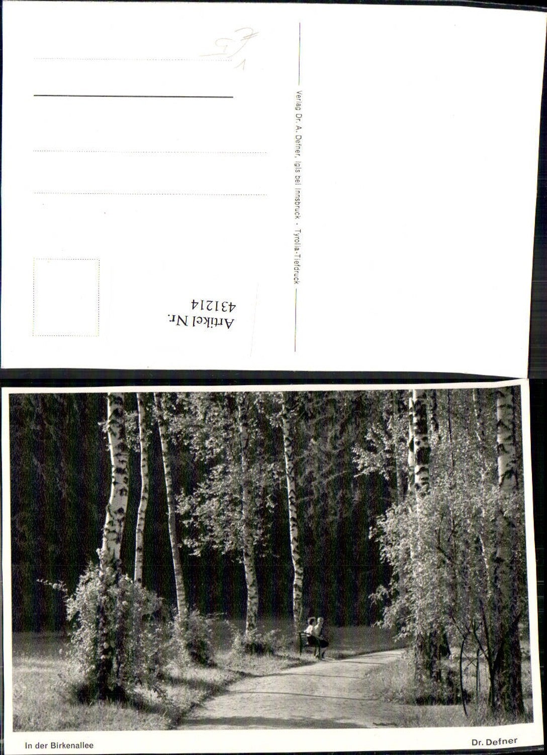 431214, Tree In der Birkenallee Children's Bank pub Dr. Defner