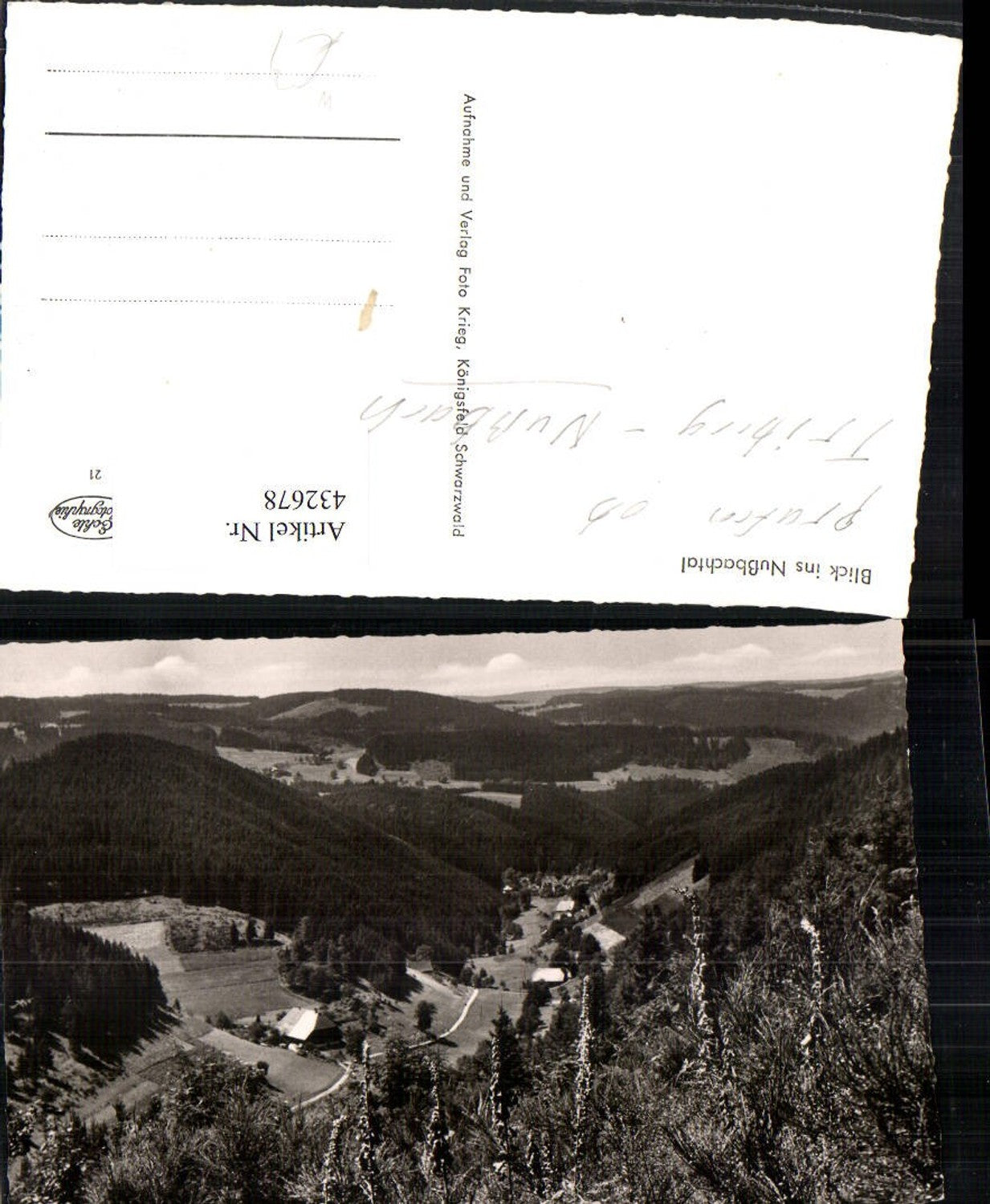 432678,Blick ins Nußbachtal b. Königsfeld im Schwarzwald