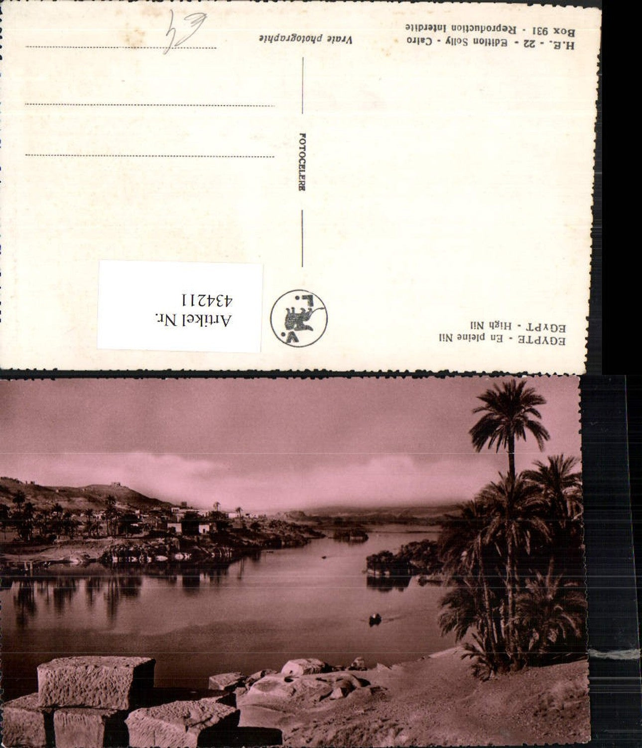 434211,Egypt High Nil Fluss Palmen