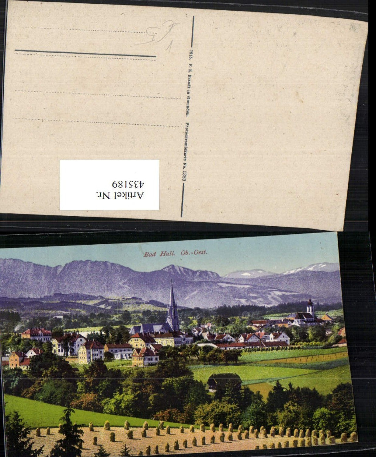 435189,Bad Hall Totale Bergkulisse pub F. E. Brandt 1389