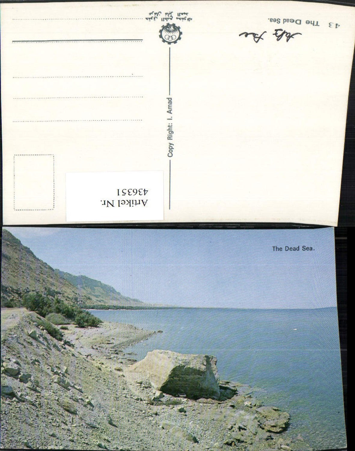 436351,Israel Dead Sea Totes Meer Küste