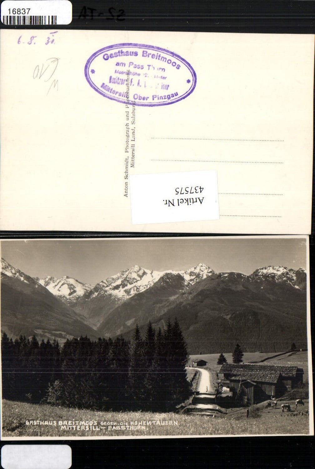 437575,Mittersill Pass Thurn Gasthaus Breitmoos Bergkulisse