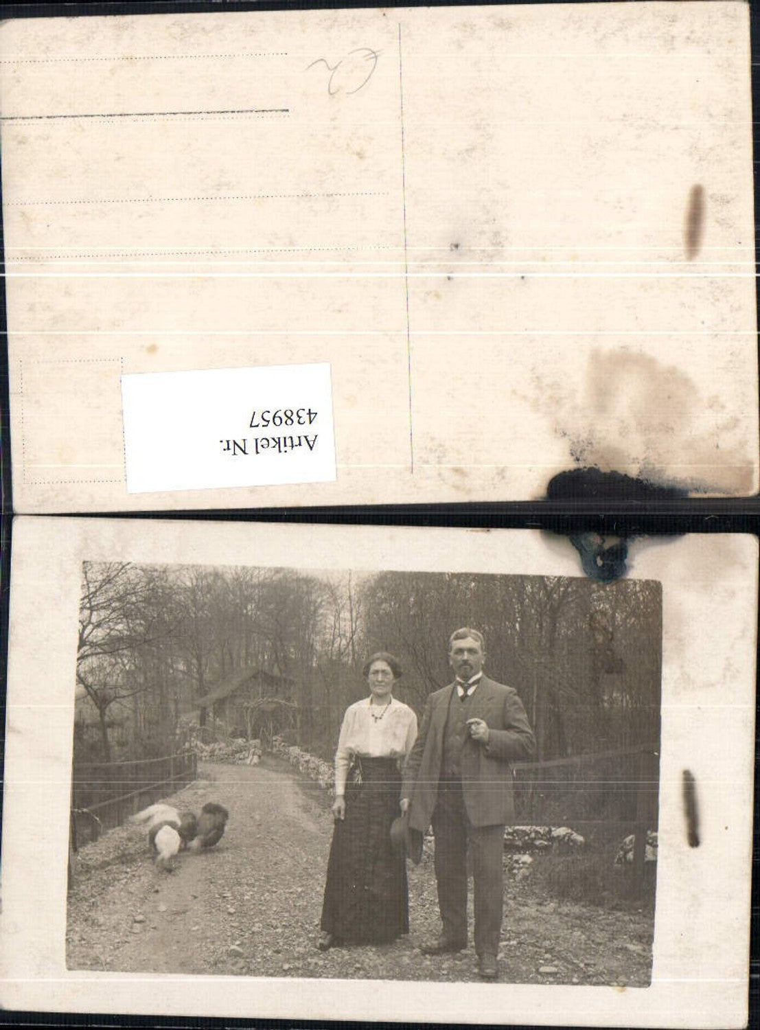 438957,Foto Ak Paar i. Park Tiere