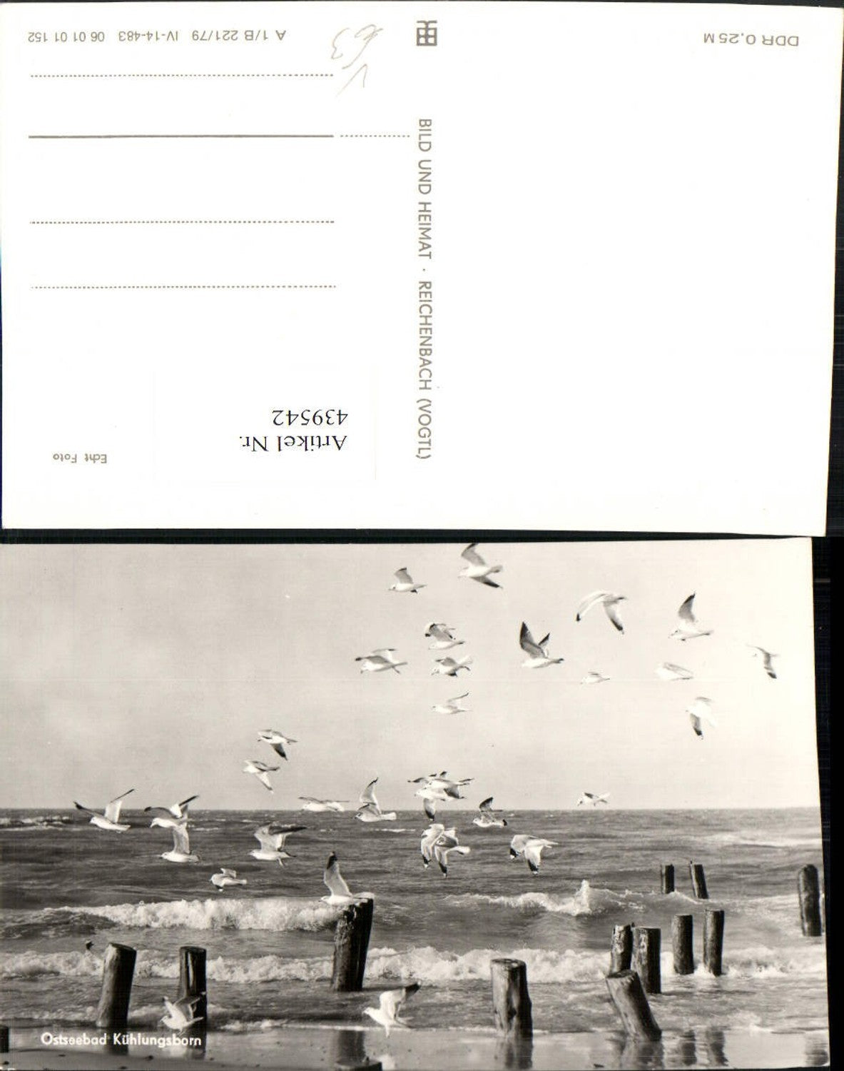 439542,Ostseebad Kühlungsborn Strand Meer Möwen pub VEB