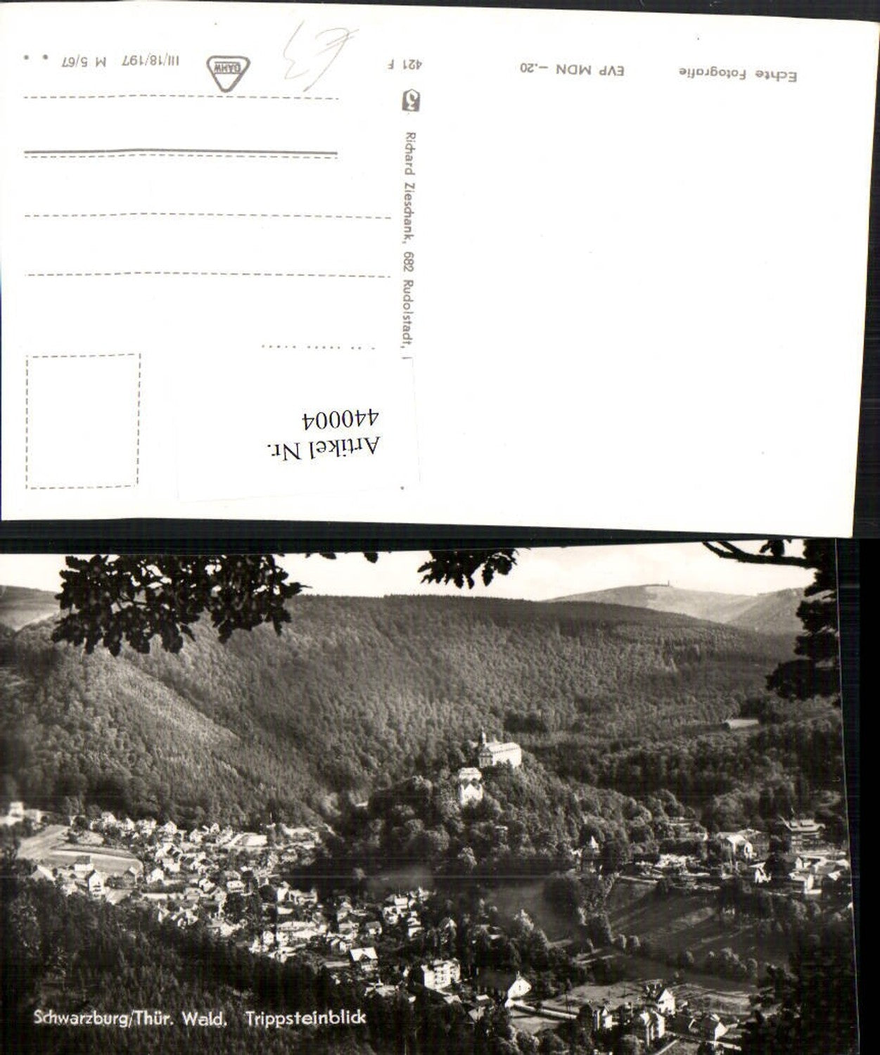 440004, Schwarzburg Totale from Trippstein
