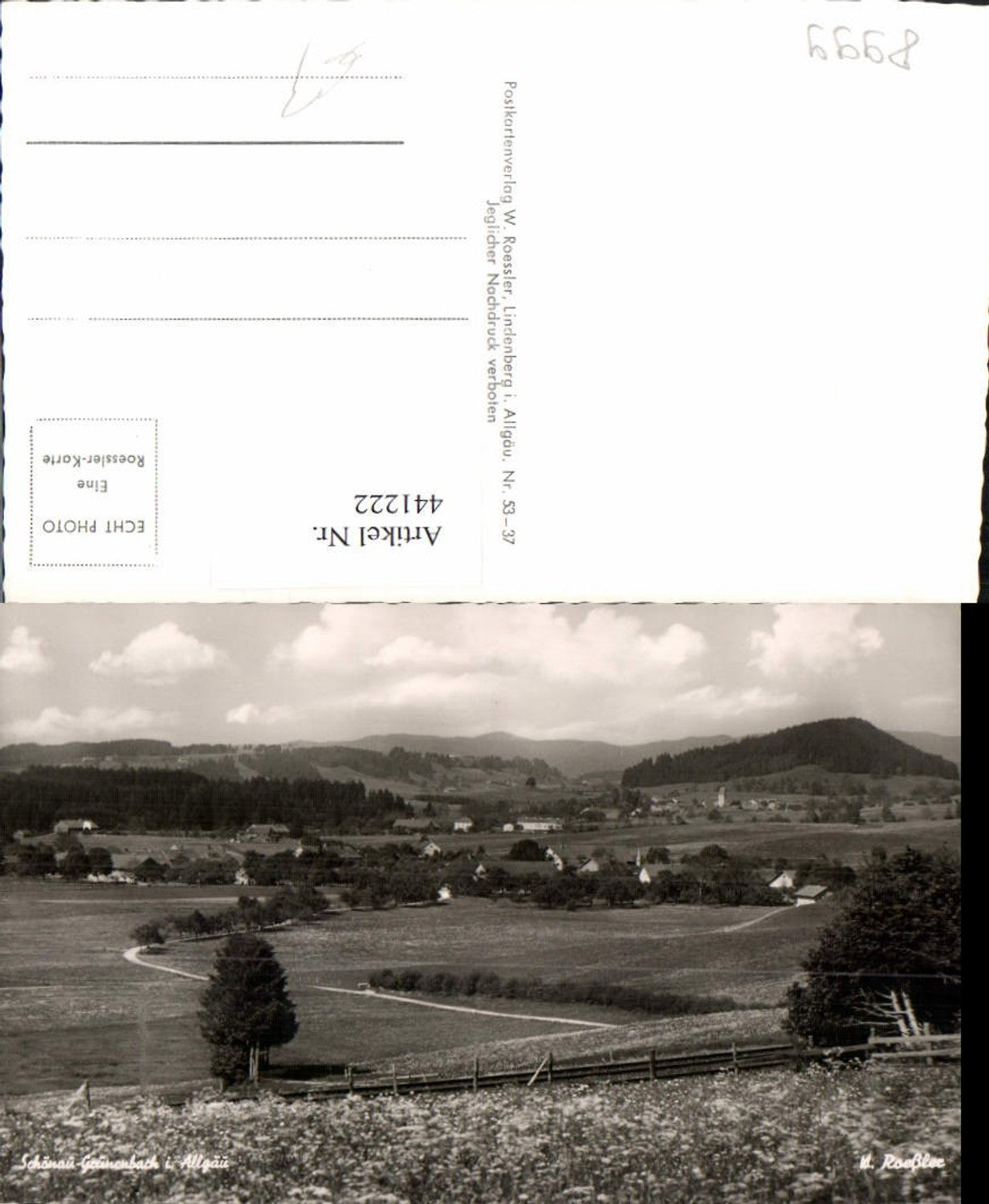441222,Schönau-Grünenbach im Allgäu Totale