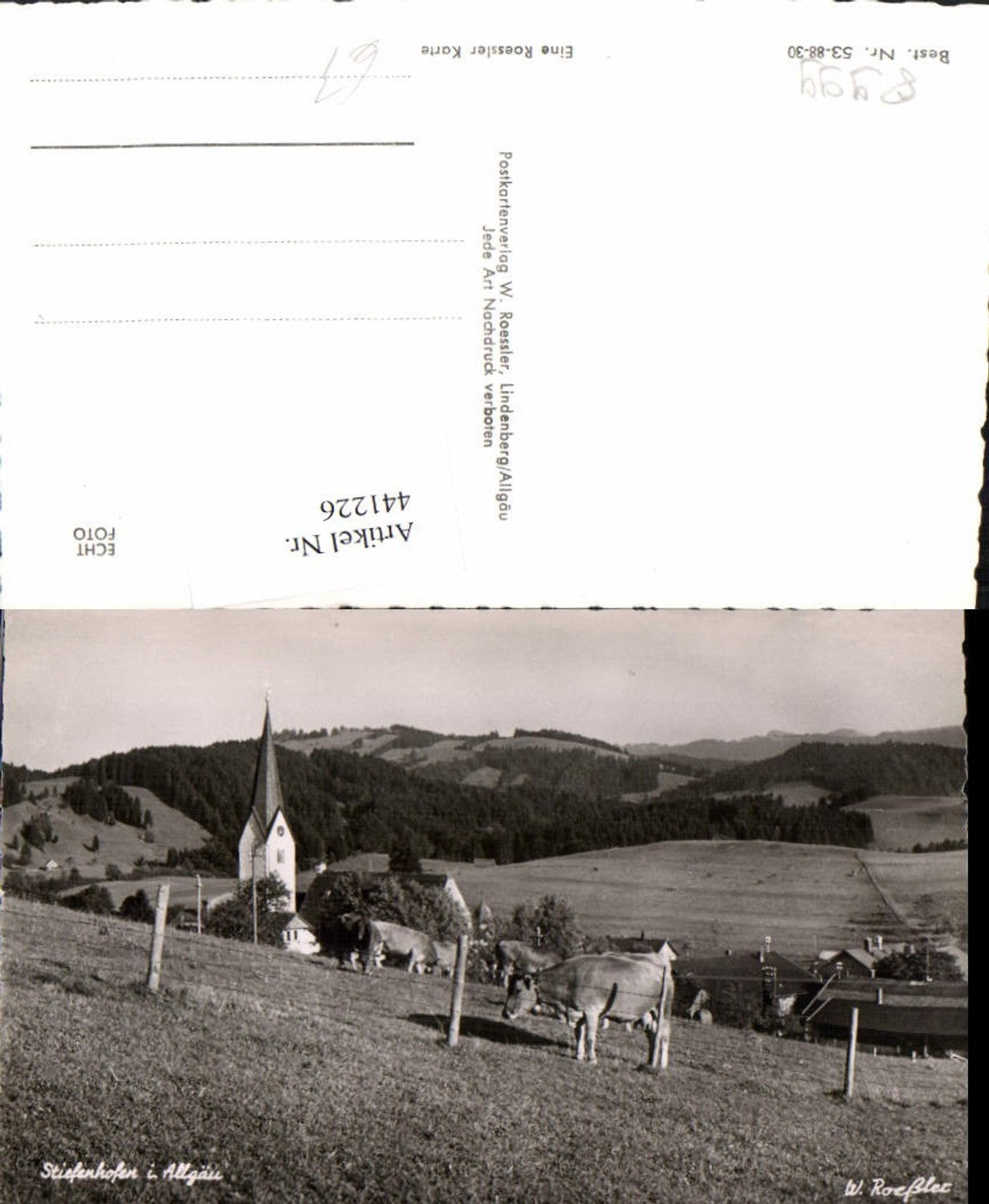 441226,Stiefenhofen im Allgäu Teilansicht Kirche Rinder