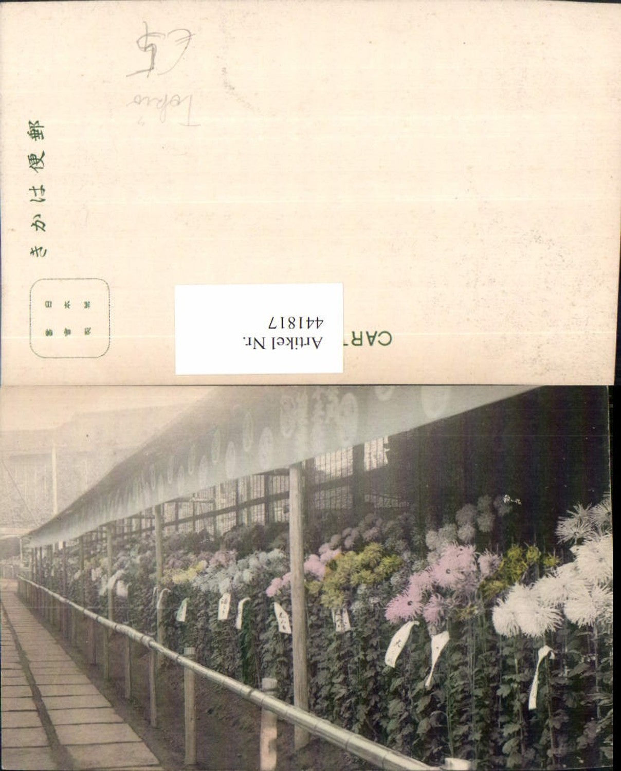 441817,Japan Tokyo Tokio Blumen Pflanzen