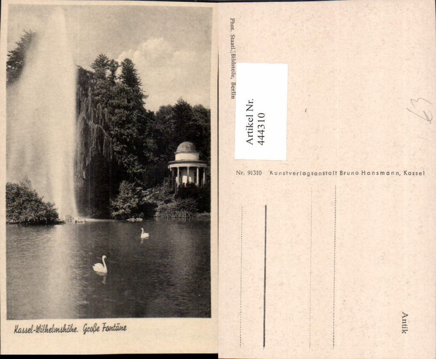 444310,Kassel Wilhelmshöhe Große Fontäne Teich Schwäne